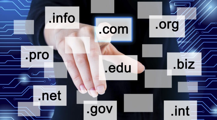 new domain rank ai overviews